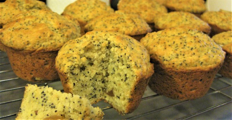 Lemon Poppy Muffins