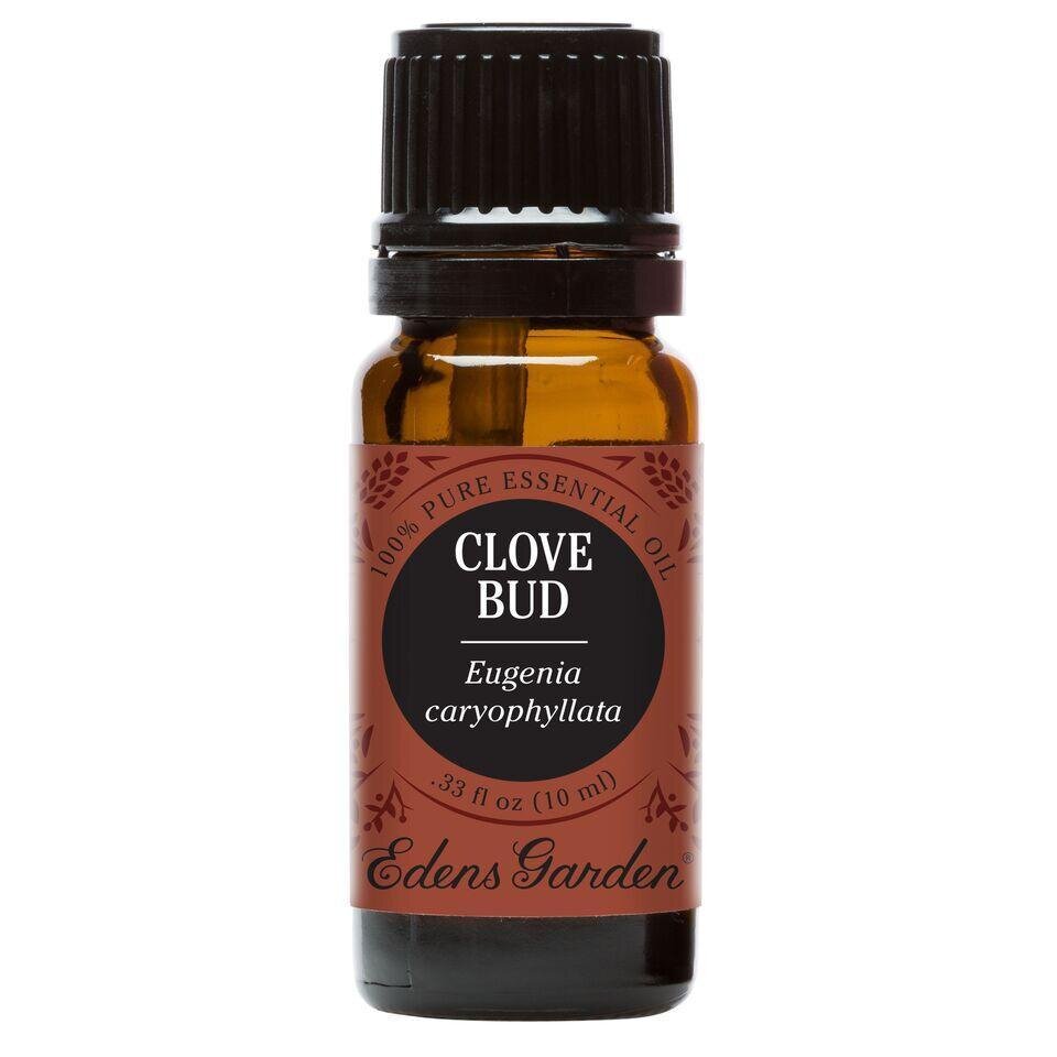 Clove Bud Essential Oil - 10 ML