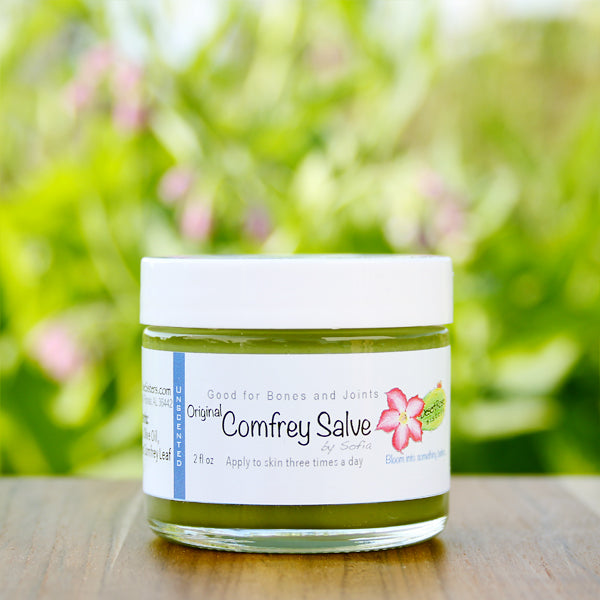 Comfrey Salve by Sofia