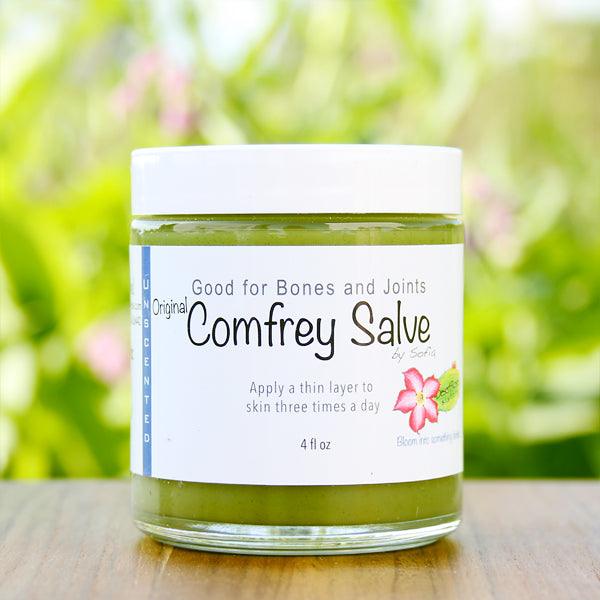 Comfrey Salve by Sofia