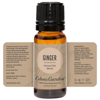 Ginger Around The World Essential Oil - 10 ML