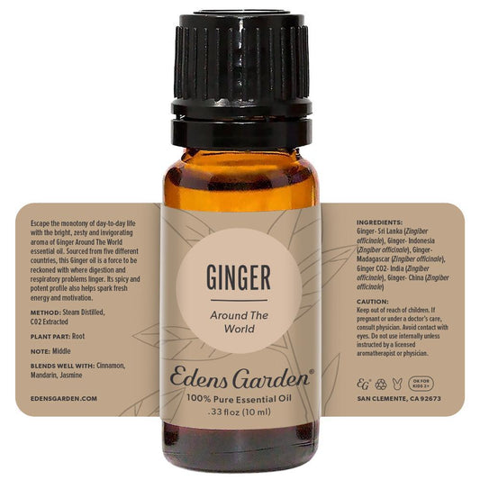 Ginger Around The World Essential Oil - 10 ML