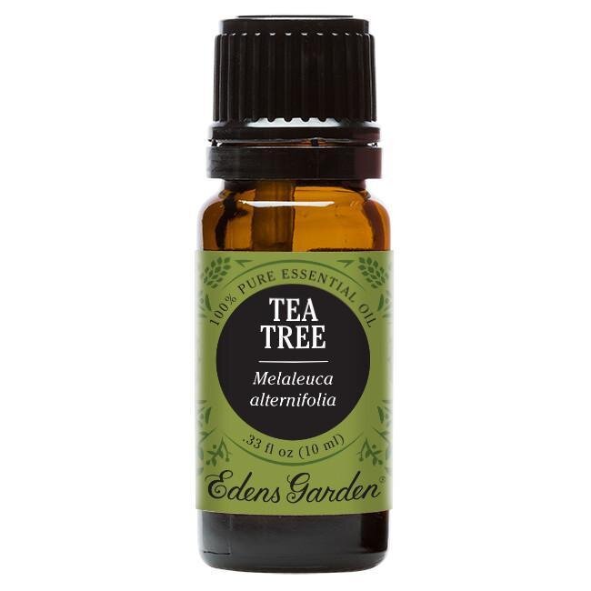 Tea Tree Essential Oil - 10 ML