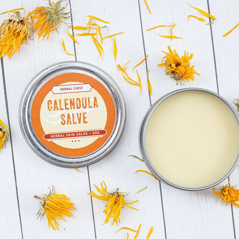 Calendula Salve with Organic Shea Butter